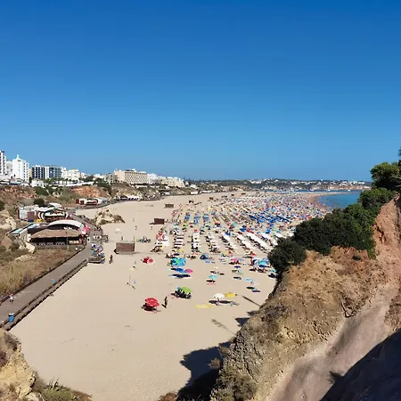 Rocha Jade * Портиман